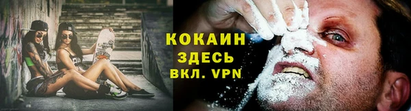 винт Абаза