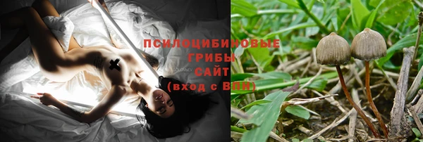 СК Абинск