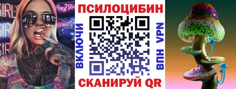 Галлюциногенные грибы мицелий OMG вход Суздаль